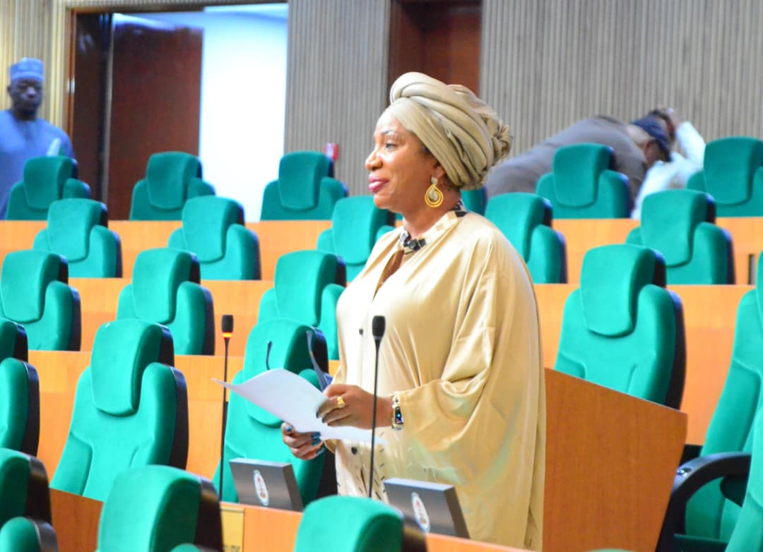 Elegebeji Champions Legislative Bills For The Progress Of Remo Federal Constituency And Ogun State